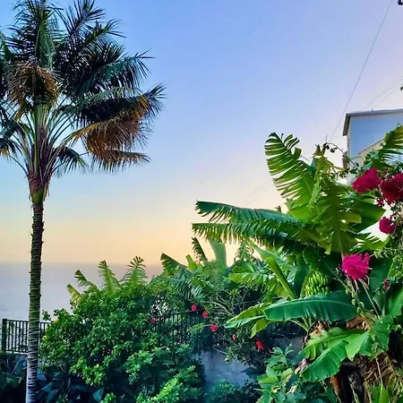 Melro's Place By Madeira Villa