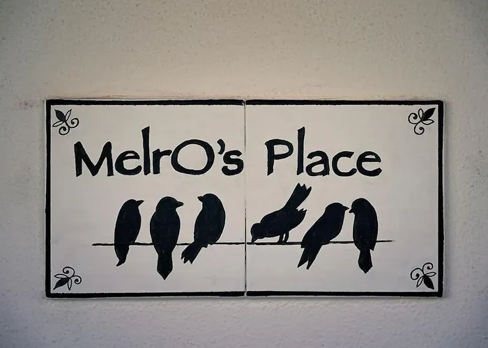 Melro's Place By Madeira 别墅 *