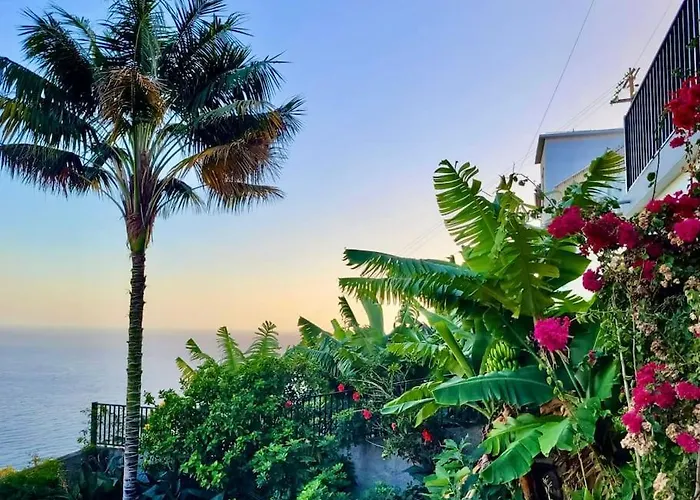 Melro's Place By Madeira 别墅